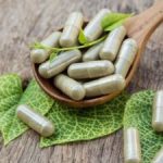 Accepting Kratom’s Traditional Medicine: Explorations of Culture, Health, and Healing